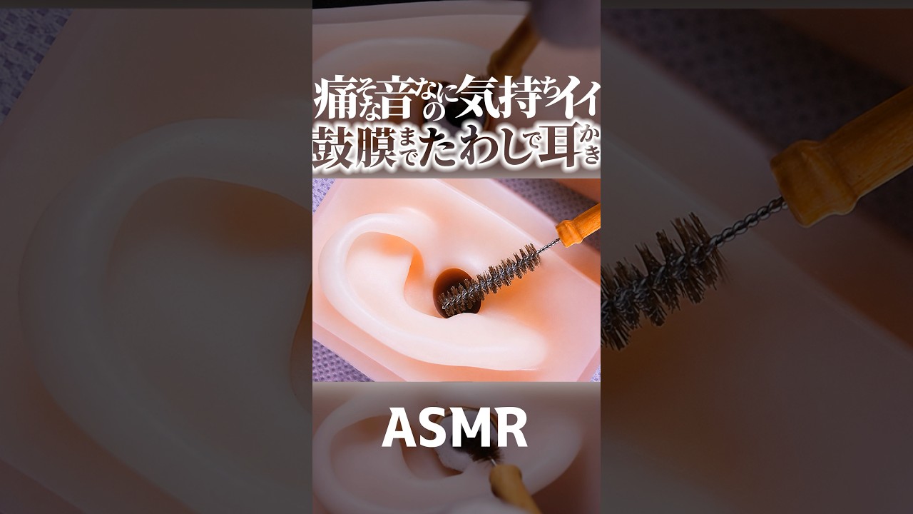 【ASMR】ワシャワシャのたわし耳かきが鼓膜にドスンと突撃する耳掃除の音😂ピリピリする音が痛そうだけど気持ちイイ耳かき🥰過去にヒカキンさんも紹介の逸品😴最後まで両耳同時🤤睡眠導入😪 #shorts