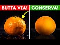 Finalmente Sappiamo Perché I Negozi Di Generi Alimentari Bagnano Spesso I Prodotti (Non Comprarli!)