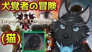 【ドラゴンズドグマ2】＃14　ソーサラーになった犬が盗賊小僧を更生させる⚡🔥❄☚🐺【Dragon's Dogma2】【津軽弁狛犬Vtuber】