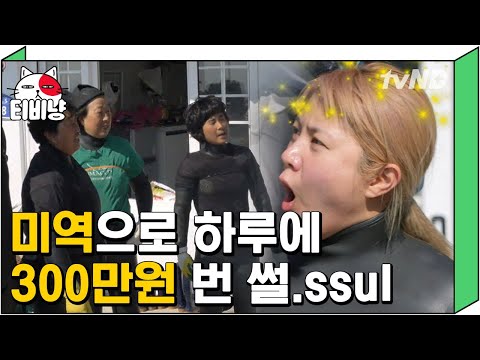 [티비냥] 다시는 미역을 싸다고 무시하지 마라! 맛만 짭짤한 게 아닌 미역의 반전 가치 ㄷㄷ 💰 두둑한 하루 수입에 입이 쩍 😲 | #풀뜯어먹는소리3 190408