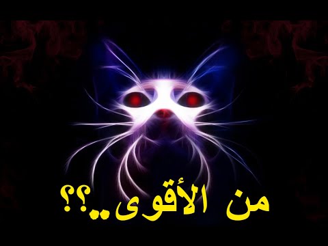 هيونكل ينقذ مام