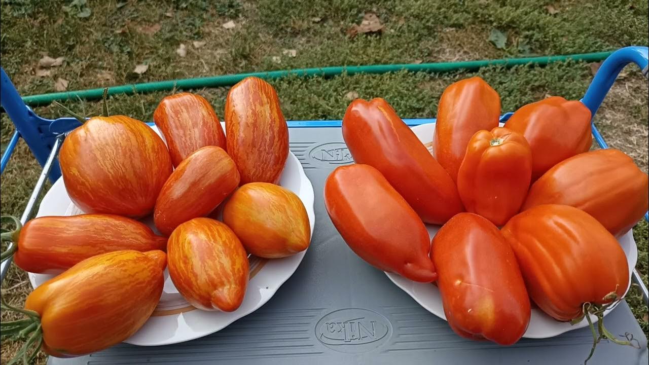 АГРОФИРМА ПАРТНЕР - каталог 2022-2023 в интернет магазине WildBerries.ru Страниц