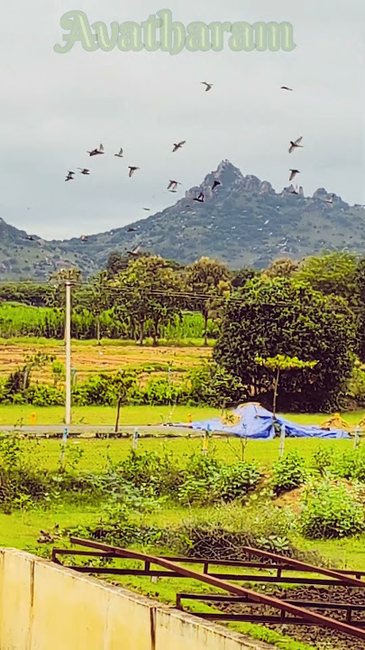 தவளக்கிரி மலை தவளகிரிஸ்வரர் வென்குன்ற மலை வென்குனேஸ்வரர் ஆலயம் வென்குன்றம் வந்தவாசி #shorts