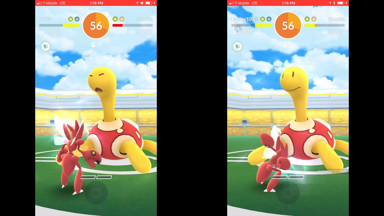Scizor will fuckle with shuckle (duo with LegacyZelaya)