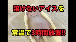溶けないアイスを常温で3時間放置したらこうなった