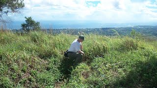 Japanese OP on Mt Austen overlooking the site of the American perimeter.