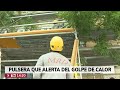 ¿Y si una pulsera pudiera avisarte antes de un golpe de calor?