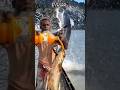 A Rare Moment: A Fisherman Adds Syrup to His Bait #shorts #fishing #tranding #amazing #viralvideo