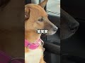 おみ足。