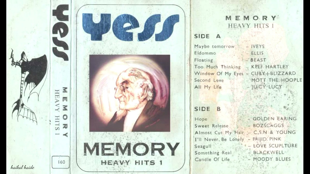 M̲e̲m̲o̲r̲y H̲e̲a̲v̲y H̲i̲t̲s̲ ̲1̲ (H̲Q̲)