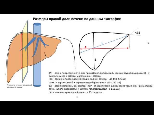 Лечение гепатита овсом