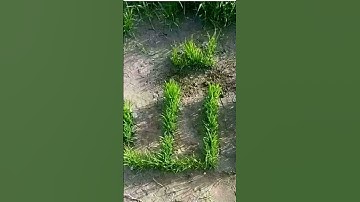 قران كريم يريح القلب واجمل وارق صوت قران كريم يريح القلب ♥♥