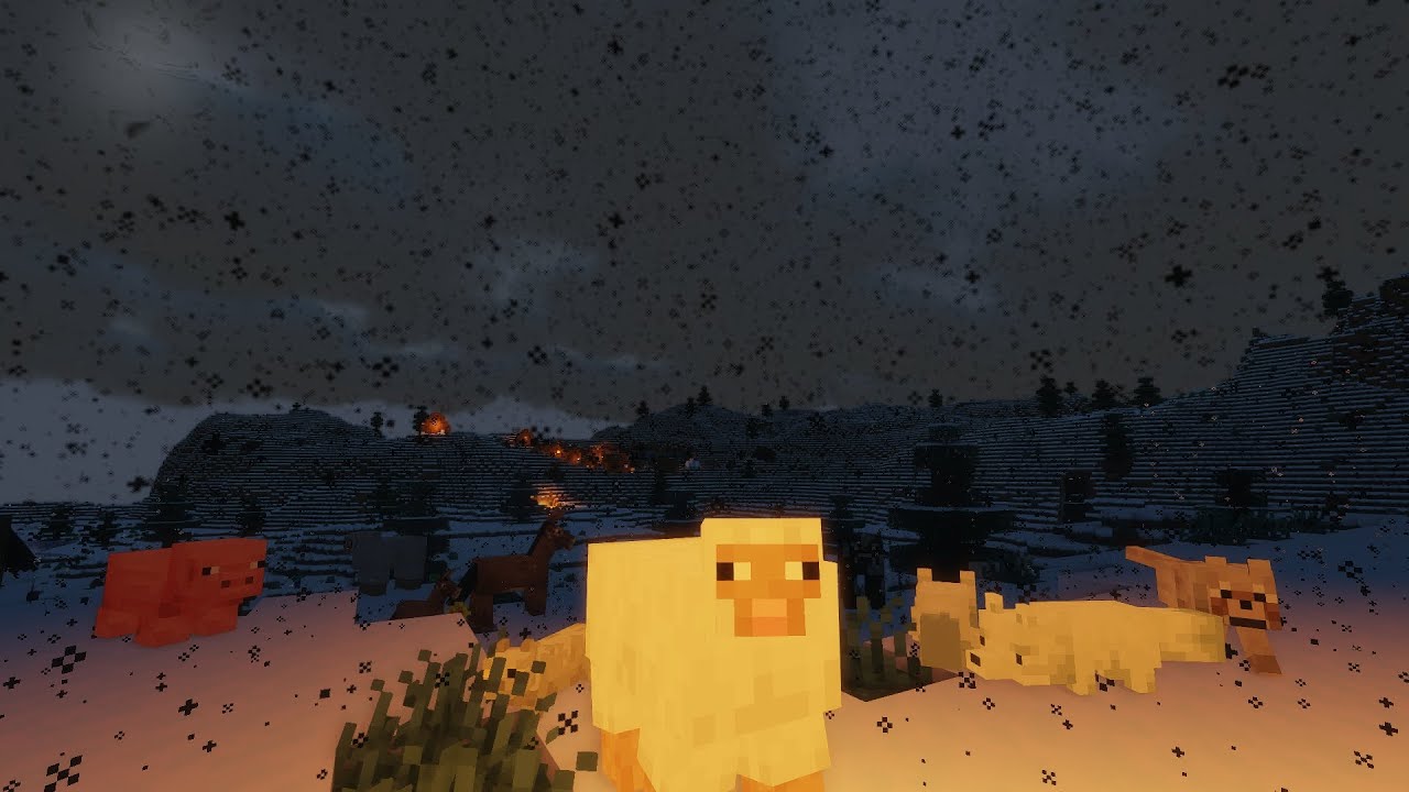 somebody who truly loves me