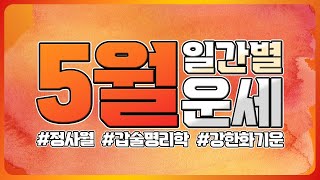 23년 5월 정사월 일간별 종합운세분석/ 연애운 재물운 직업운 건강운/ #사주 #5월운세 #운세