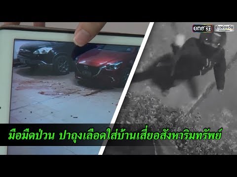 มือดำปาถุงเลือดที่บ้านเสี่ยอสังหาริมทรัพย์ |  ข่าวช่องวัน |  one31