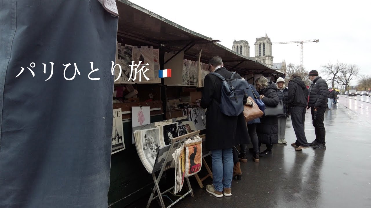【paris vlog】パリひとり旅2025冬ep.6｜第一日曜は無料で博物館へ｜やっぱり外せないサントシャペル｜パリ近郊のお城　国立ルネッサンス美術館｜案外面白かった美術館｜お気に入りのパリ飯