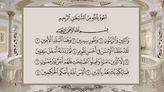 95 سورة التين