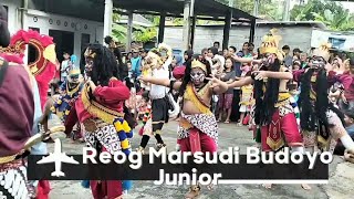 Habis diguyur hujan,Reog Marsudi Budoyo Junior #7 @mbhjoyosenibudaya6757