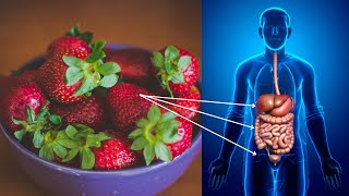 Detailed What happen when you start Eating Strawberries everyday. Information