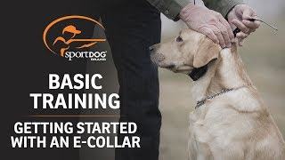 Basic Training :: Getting Started with an E-Collar screenshot 2