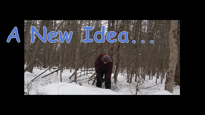 My Bigfoot Story Ep. 150 - Messing With Bigfoot