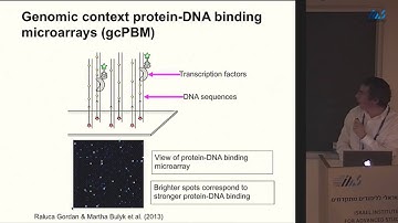 David Lukatsky - Design principles of protein recognition of repetitive genomic DNA sequences