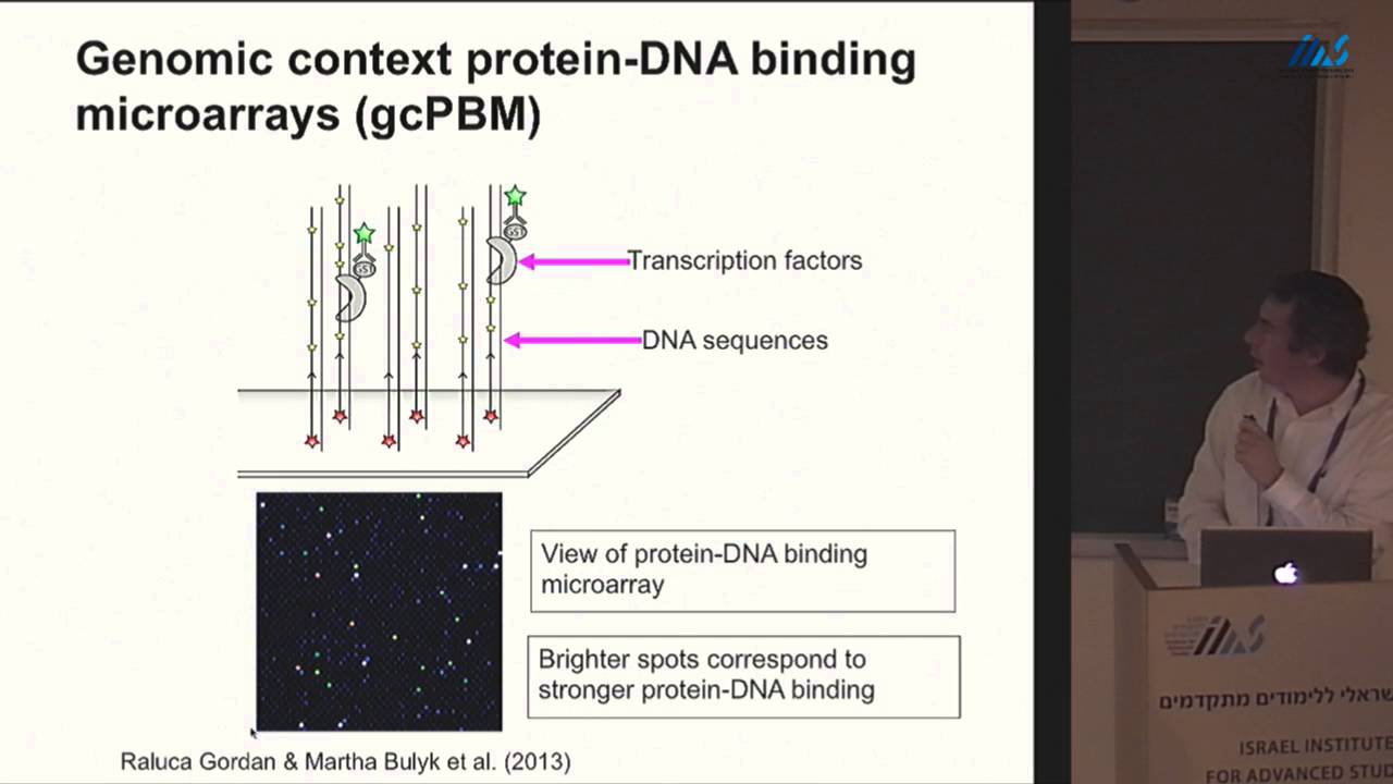 David Lukatsky - Design principles of protein recognition of repetitive genomic DNA sequences