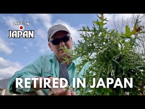 American Retired in Japan | Maintaining My Former Akiya in the Countryside