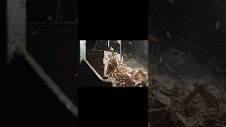 Plywood Compression Test — Layered Failure  #hydraulicpress #materials