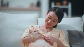 Me-O Creamy Treats - Kucing Kamu Pasti Suka!