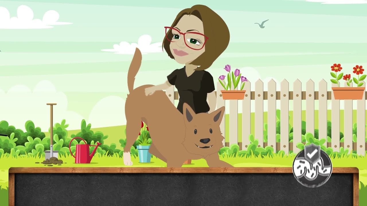 BELCANDO - Nu met probiotica | De speciale ingrediënten in BELCANDO hondenvoer