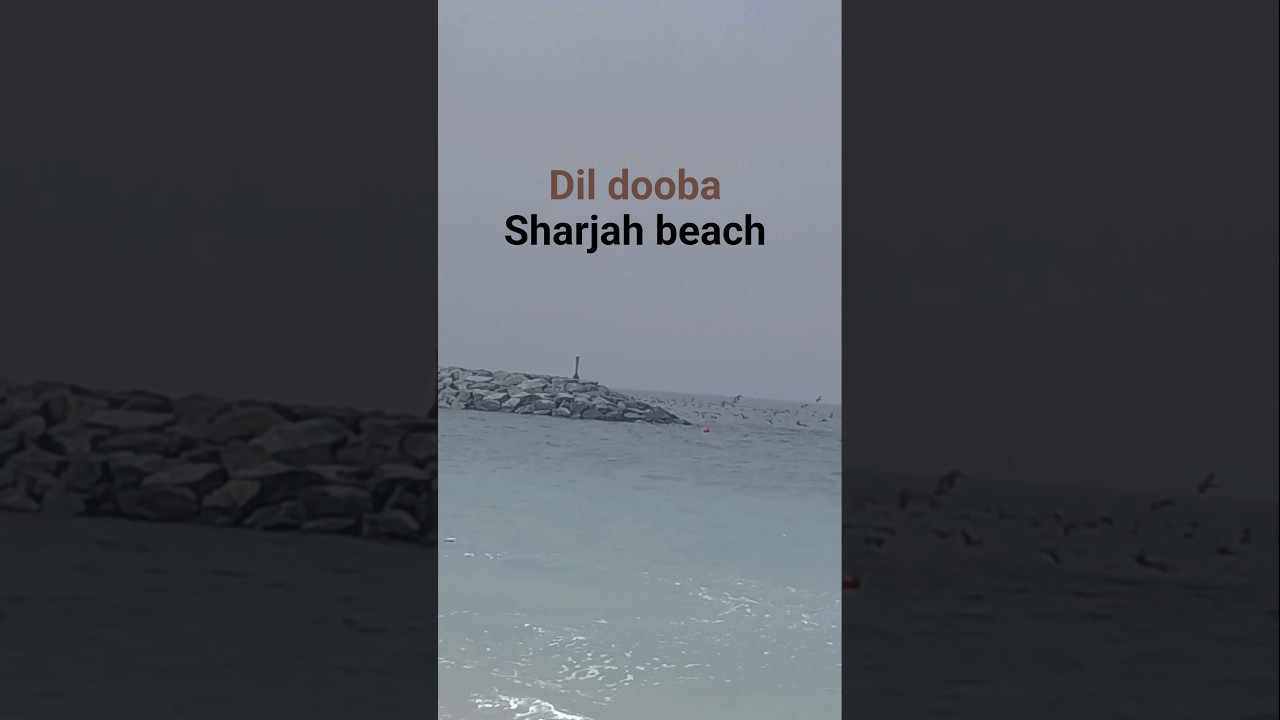Dil dooba 🌊💜🏖️ Sharjah UAE Beach #sharjahbeach #uaebeach #beach #travel #love #nature #ocean