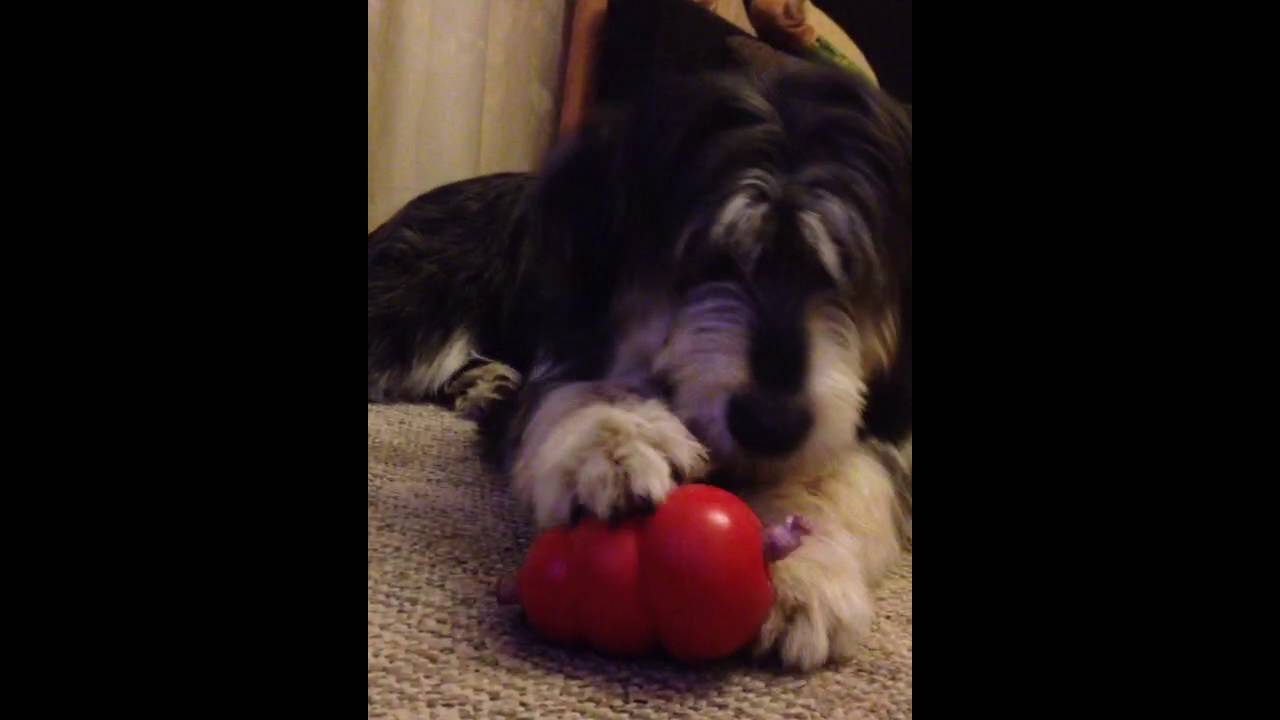 Отзыв на игрушку для собак Kong Classic