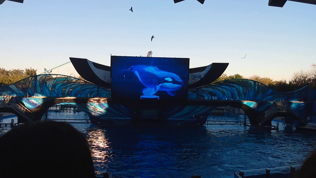 Shamu Stadium- Orlando 2020 - YouTube