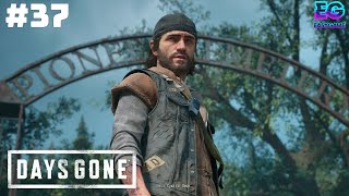 ПОВЫШАЮ ДОВЕРИЕ В ЛАГЕРЯХ #37 / Days Gone / Жизнь после на Русском