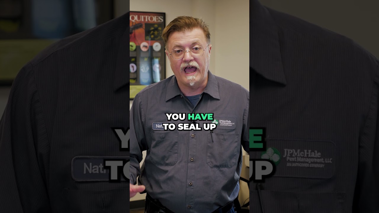 Do YOU have a MOUSE PROBLEM? 