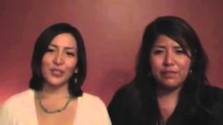 SFVF Indiegogo Campaign Video