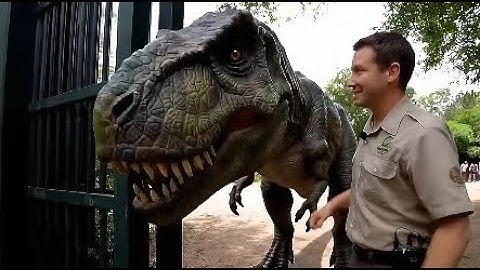 Humanity is Doomed | Google VEO 3 AI Video Generator Clips |