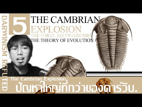 แคมเบรียน...ปัญหาที่ใหญ่กว่าของดาร์วิน : The Cambrian Explosion │Darwinism Refuted 05.