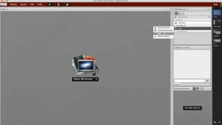 Adobe Connect Tier II: How to Assign User Roles Profile