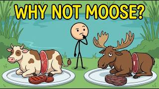 Why Don't Most People Eat Moose Meat?