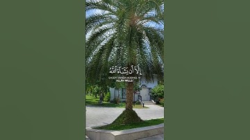 سورة الكهف - Surat Al-kahf #اكسبلور #راحة_نفسية