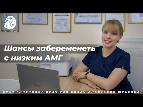 Шансы забеременеть с низким АМГ