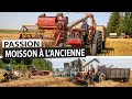 Passion  moissons  lancienne en seine et marne