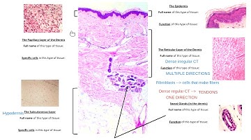 Lab Midterm Exam Review - October 5 at 9:30 AM