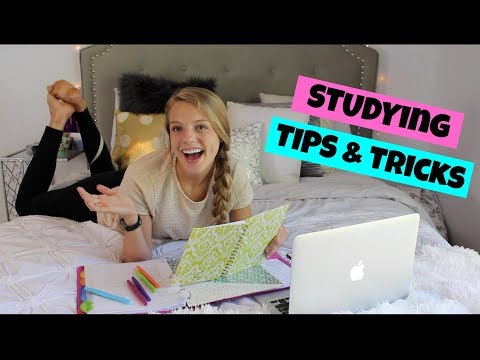 Study Tips + How I Stay organized