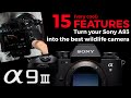 15 Features to turn your Sony A9iii into the best camera for wildlife photography!