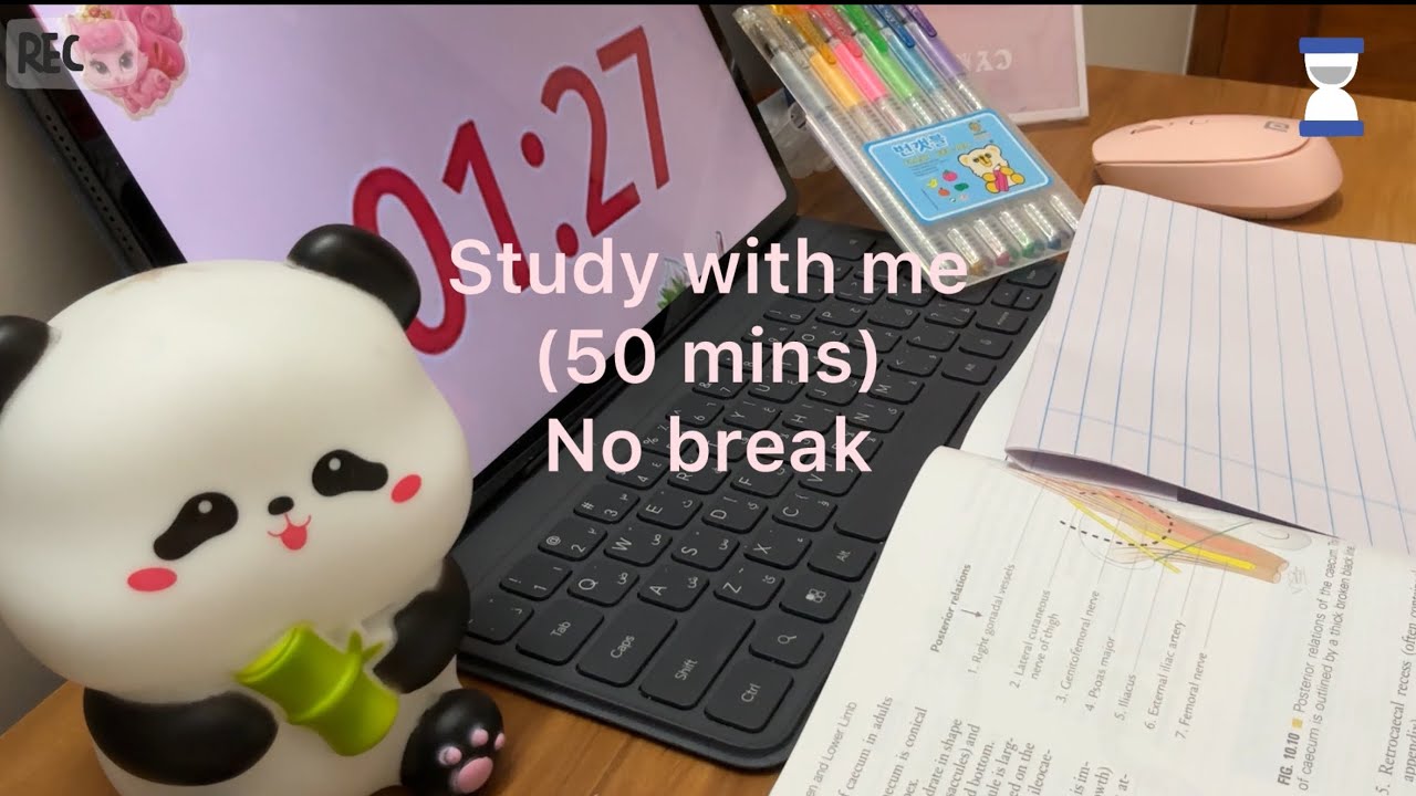 Study with me |50 minutes |lo-fi music on background with background, noise, no break ￼