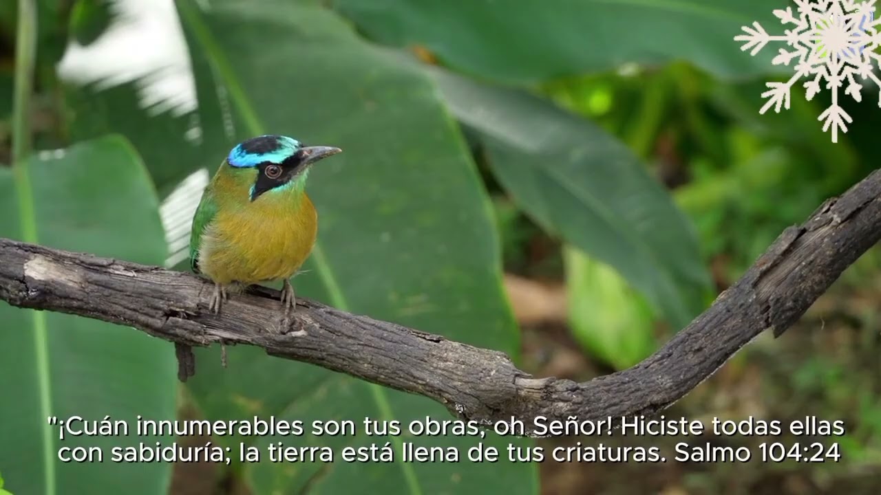 19 de febrero de 2026