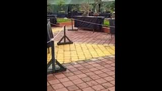 Kontes bonsai liwa lambar